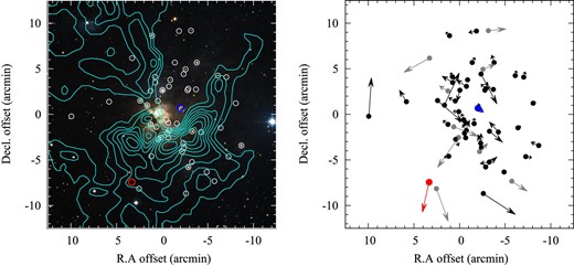 (Left) Red, blue, and white circles mark the sources observed with VERA (this work), VLBA (Dzib et al. 2018), and Gaia DR2 (Gaia Collaboration 2018), respectively. The background is the Digitized Sky Survey 2 (DSS2) optical image. The cyan contours show the 13CO (J = 1–0) integrated intensity (Li et al. 2014). The origin (0, 0) corresponds to $(\alpha , \delta )_{\rm J2000.0} = {04^{\rm h}30^{\rm m}11{^{\rm s}_{.}}04},\ +{35^{\circ }16^{\prime }44{^{\prime \prime }_{.}}0}$. (Right) Proper motions of the objects represented by the circles. The average of (2.44, −5.27) mas yr−1 was removed. One arcminute corresponds to 0.16 pc and 1 mas yr−1 corresponds to 2.5 km s−1 at the assumed distance 532 pc.
