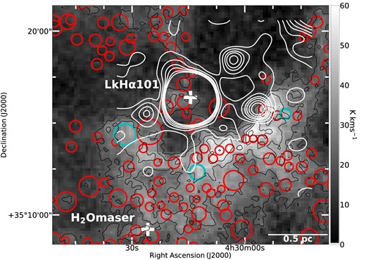 Integrated intensity map of 13CO (J = 1–0) towards the L 1482 molecular cloud overlaid with the VLA 1.4-GHz continuum emission (Condon et al. 1998). The contours start from 0.33 mJy beam−1 with an increment of 0.4 mJy beam−1.