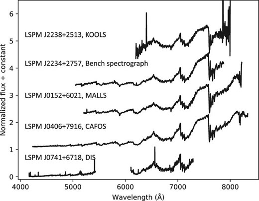 Examples of our samples. The top one is LSPM J2238+2513 obtained by KOOLS, the second from the top is LSPM J2234+2757 obtained by the Bench spectrograph, the third from the top is LSPM J0152+6021 obtained by MALLS, the fourth from the top is LSPM J0406+7916 obtained by CAFOS, and the bottom sample is LSPM J0741+6718 obtained by DIS. We note that the CCD of KOOLS had bad pixels in 6675–6715 Å, which were excluded in this study.