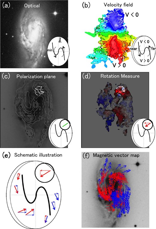 Steps in the magnetic field vector reconstruction method (Nakanishi et al. 2019). (a) Determine the direction of rotation of the galaxy on the basis of an optical image after assuming a trailing spiral. (b) Determine the near side of the galaxy by combining the map of the velocity field and the direction of rotation. (c) Determine the direction of the magnetic field perpendicular to the line of sight from the polarization plane of the synchrotron (with an ambiguity of 180° along the line of sight). (d) Solve the 180° ambiguity along the line of sight using the sign of RM. (e) Determine the direction of all the magnetic vectors. (f) A magnetic vector map of NGC 3627 can be derived. (Color online)