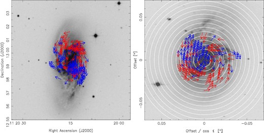 (Left) Magnetic field vector map of NGC 3627 in the sky plane. The effective angular resolution is ${13{^{\prime \prime }_{.}}5}$. The background is the same as in figure 1. The red and blue arrows show inward and outward magnetic vectors, respectively. The vectors are plotted every 7″. (Right) The face-on view of the magnetic field vector map, made by rotating counter-clockwise by the position angle and extending in the minor-axis direction by 1/cos i. The white circles are drawn at intervals of 1.0 kpc from the center of the galaxy. (Color online)