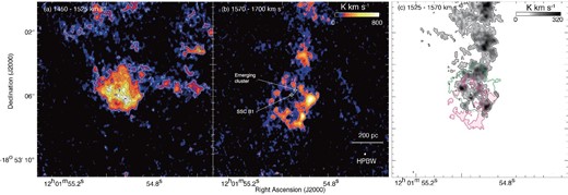 (a) Spatial distribution of the blueshifted cloud. The integration velocity range is VLSR = 1450–1525 km s−1. The contour levels are 300, 450, 600, 750, 900, 1060, 1070, and 1090 K km s−1. (b) The spatial distribution of the redshifted cloud. The integration velocity range is VLSR = 1570–1700 km s−1. (c) Intensity map of 12CO(J = 3–2) consisting of three velocity components. The black image indicates bridge features (VLSR = 1525–1570 km s−1). The red and green contours indicate the redshifted and blueshifted clouds, respectively. The contour levels of three velocity components are 40σ (95 K km s−1 for the bridge, 156 K km s−1 for the redshifted cloud, and 120 K km s−1 for blueshifted cloud). The symbols are the same as in figure 1. (Color online)