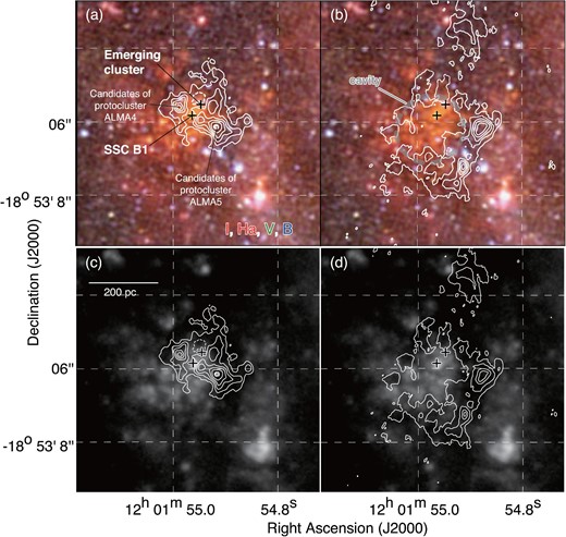 (a), (b) False color image toward SGMC 4/5 obtained with HST overlaid with integrated intensity distribution of12CO(J = 3–2) for the blueshifted cloud and redshifted cloud by contours. The B-band image is shown in blue, V-band image in green, and a combination of the I-band and Hα images in red. The integrated velocity ranges are the same as in figure 2. The contour levels are 300, 450, 600, 750, 900, 1060, 1070, and 1090 K km s−1 for panel (a); 120, 220, 320, 420, 520, 620, 720, 820, 920, and 1020 K km s−1 for panel (b). (c), (d) Integrated intensity distribution of 12CO(J = 3–2) for the blueshifted cloud and the redshifted cloud by contours superposed on the Hα image obtained with HST. The integrated velocity ranges and contour levels of panels (c) and (d) are the same as in panels (a) and (b). The symbols are the same as in figure 1. (Color online)