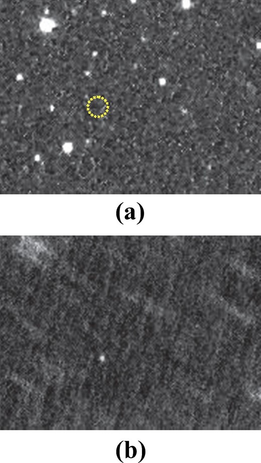 Apparition of an asteroid detected by the original algorithm. (Color online)