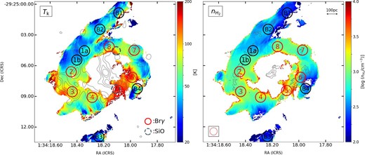 Maps of the kinetic temperature Tk (left) and number density $n_{\rm H_2}$ (right) obtained from RADEX calculations and maps of R3/1 and R13/12. The contours of the left-hand panel are 4σ, 6σ, 8σ, 10σ (1σ = 28 μJy beam−1) of the 100 GHz continuum, and the contours of the right-hand panel are 20, 30, 40 km s−1 of the velocity dispersion of 12CO(1–0). The seven red circles indicate hotspots of Brγ with a diameter of 1″ shown in figure 1b (Falcón-Barroso et al. 2014). The black circle is the same size area of the bar and ring for comparison. The dashed circle is the area where SiO was detected (Miyamoto et al. 2017). (Color online)