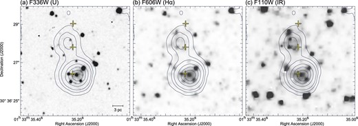 Maps of optical images obtained with the Hubble Space Telescope (HST): (a) HST/WFC3 map with F336W filter (U band), (b) HST/WFPC2 map with F606W filter (Hα), and (c) HST/WFC3 map with F110W filter (IR). The superposed contours and crosses are the same as in figure 4. The scale bar is also shown in the bottom right corner in panel (a).