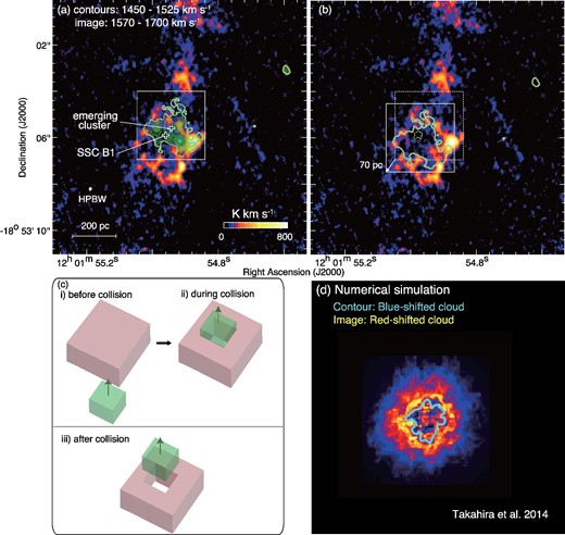 (a) CO intensity map for the blue-shifted cloud (contours) and the red-shifted cloud (image) in SGMC 4/5 in the Antennae (Tsuge et al. 2021b). The black crosses indicate the positions of SSC B1 and the emerging cluster classified by radio continuum, CO, and optical/near-infrared (NIR) data (Whitmore et al. 2014). (b) As (a), but with the contours of the blue-shifted cloud displaced. The contour level is 300 ${\rm{K\, km\,s}^{-1}}$. (c) Schematic view of the collision between the red-shifted and blue-shifted clouds. The sub-panels are (i) the clouds before the collision, (ii) a time of during the collision, and (iii) a period after the collision for SGMC 4/5. Panels (a) and (b) correspond to sub-panels (iii) and (ii), respectively. (d) The result from a synthetic observation is based on the numerical simulation by Takahira, Tasker, and Habe (2014). The contour and the image indicate the blue-shifted cloud and the red-shifted cloud, respectively. Adapted from Tsuge et al. (2021b) and reproduced with permission.