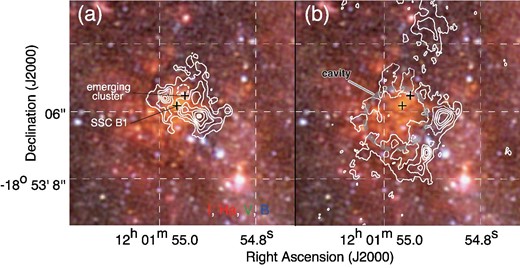 (a) and (b) False-color image toward SGMC 4/5 obtained with HST overlaid with the integrated intensity distribution of 12CO(J = 3−2) for the blue- and the red-shifted cloud. The B-band image is shown in blue, the V-band image is in green, and a combination of the I-band and Hα images is in red. The integrated velocity ranges for the left- and right-hand panels are 1450 to 1525 $\rm{km\,s}^{-1}$, and 1570 to 1700 $\rm{km\,s}^{-1}$, respectively. The contour levels are 300, 450, 600, 750, 900, 1060, 1070, and 1090 ${\rm{K\, km\,s}^{-1}}$ for panel (a), and 120, 220, 320, 420, 520, 620, 720, 820, 920, and 1020 ${\rm{K\, km\,s}^{-1}}$ for panel (b). The black crosses show the positions of SSC B1 and the emerging cluster classified by radio continuum, CO, and optical/NIR data (Whitmore et al. 2014). Adapted from Tsuge et al. (2021b) and reproduced with permission.