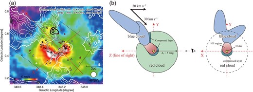 (a) Comparison of the red cloud (image) and the blue cloud (white contours) associated with RCW 120, as observed with the NANTEN2 telescope in 12CO(J = 1−0). The bridging feature at −23 to −20 $\rm{km\,s}^{-1}$ is plotted with thick black contours. The YSOs, dust condensations, and 8 μm ring are plotted in the same manner as in figure 3, where the region used for the YSO identifications is shown by black dashed lines. (b) Schematic illustrations of the evolution of the CCC in RCW 120 as presented in the Z–Y plane and in the X–Y plane, where the Z axis is along the line of sight. The origin of the coordinate system is taken at the exciting O-star. Figures adapted from Torii et al. (2015) and reproduced with permission from AAS.