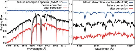 One of the HDS spectra of WASP-76 b before (black) and after (red) telluric correction. The blue lines show the telluric absorption spectra. The right-hand panel is a zoom-in of the left-hand panel. (Color online)