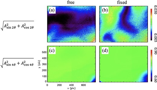 Sinusoidal fitting amplitude map through the ROI in experiment 2. (a) Absolute value of the 2θ component with the free PBS. (b) 2θ component with the fixed PBS. (c) 4θ component with the free PBS. (d) 4θ with the fixed PBS. All are normalized by a const. term of each fitting result.