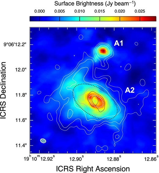 250 GHz continuum map superposed on the contours of the 45 GHz continuum emission (De Pree et al. 2000) at 1, 2, 5, 10, and 20 mJy beam−1. The two dotted ellipses show the ring (white) and the FWHM size of the entire emission nebula (black).