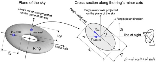 Ring model with an elliptical cross-section. The observed width 2β of the ring along the minor axis on the plane of the sky is related to the elliptical semi-axis lengths a and b as β2 = a2cos 2i + b2sin 2i, where i is the inclination of the ring (i = 0 for pole-on). If the ring has a radial (expansion or contraction) velocity Vrad and a rotational velocity Vrot along its equatorial plane, the line of sight velocities toward the major and minor axes are ±Vrorsin i and ±Vradsin i, respectively.