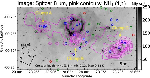 YSO distributions superposed on the Spitzer 8 μm continuum image. Pink contours indicate the NH3(J, K) = (1, 1) peak intensity. The lowest pink contour level and intervals are 0.12 K (∼4σ). Blue, green, and red circles show the Stage I, Stage II, and Stage III YSOs identified by Dirienzo et al. (2012) based on the classification model of Robitaille et al. (2006).