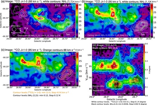 FUGIN 13CO integrated intensity map of two molecular filaments identified by Dewangan, Ojha, and Zinchenko (2017). The integrated velocity range of (a) 83.0–90.8 km s−1 and (b) 92.1–99.9 km s−1, respectively. White contours indicate the NH3(J, K) = (1, 1) peak intensity. The lowest white contour level and intervals are 0.12 K (∼4σ). (c) The integrated intensities of the 88 km s−1 component (orange contours) and 95 km s−1 components (background image). White contours indicate the NH3(J, K) = (2, 2) peak intensity. The cross marks are the same as in figure 2a. (d) The longitude–velocity diagram of 13CO J = 1–0 is shown as white contours. The lowest white contour level and intervals are 0.1 K degree. The black contours present the NH3 (2, 2) intensity of the same integrated latitude range. The lowest black contour level and intervals are 0.0036 K degree and 0.002 K degree, respectively.