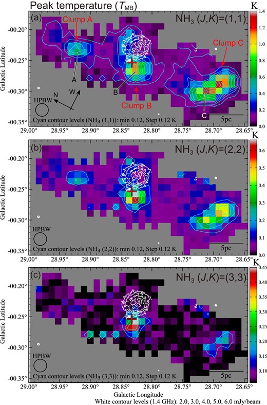 Peak intensity (TMB) map of (a) NH3(J, K) = (1, 1), (b) NH3 (2, 2), and (c) NH3 (3, 3). The lowest cyan contour level and intervals of NH3 are 0.12 K (∼4σ) and 0.12 K (∼4σ), respectively. Three NH3 clumps are labeled in panel (a). A, B, and C show the positions of the spectra in figure 3. The white contour levels of the VLA 1.4 GHz continuum image are 2.0, 3.0, 4.0, 5.0, and 6.0 mJy beam−1. The red cross indicates the position of the 6.7 GHz class II methanol maser source (Cyganowski et al. 2008, 2009).