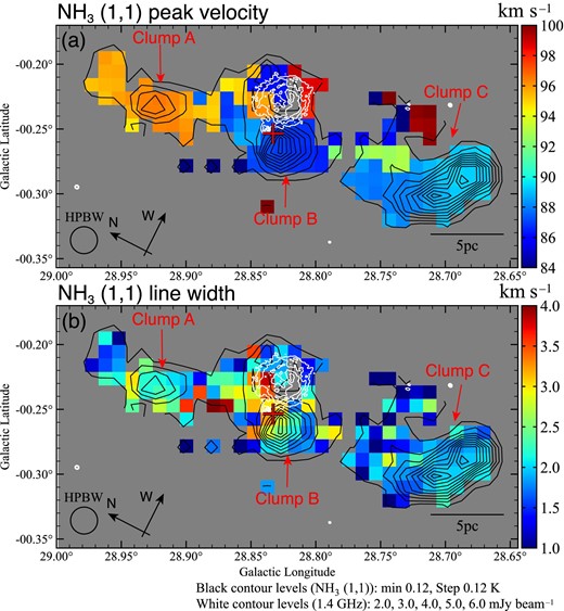 (a) Peak velocity and (b) velocity width maps of the NH3(J, K) = (1, 1) line resulting from a Gaussian function fitted to the emission within pixels above 0.12 K (>4σ). The black contours show the NH3(J, K) = (1, 1) peak intensity. The lowest black contour level and intervals are 0.12 K (∼4σ). The red cross and white contours are the same as in figure 2a. The white contour levels of the VLA 1.4 GHz continuum image are 2.0, 3.0, 4.0, 5.0, and 6.0 mJy beam−1.