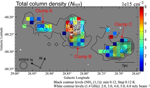 NH3 total column density map above the 3σ noise level. The contours show the NH3(J, K) = (1, 1) peak intensity. The lowest black contour level and intervals are 0.12 K (∼4σ). The cross mark and white contours are the same as in figure 2a. The white contour levels of the VLA 1.4 GHz continuum image are 2.0, 3.0, 4.0, 5.0, and 6.0 mJy beam−1.