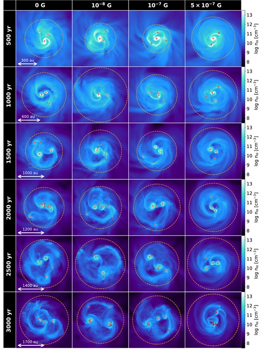 evolution of density structure of magnetized cases