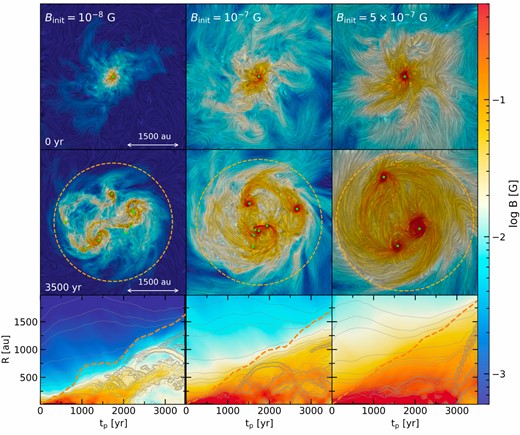 magnetic field strength of mangnetized cases
