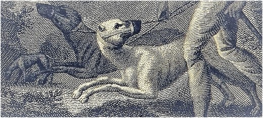 Cuban bloodhounds sent to Jamaica. From Robert Charles Dallas, The History of the Maroons from their Origin to the Establishment of their Chief Tribe at Sierra Leone, 2 vols. (London, 1803), ii, p. vi.