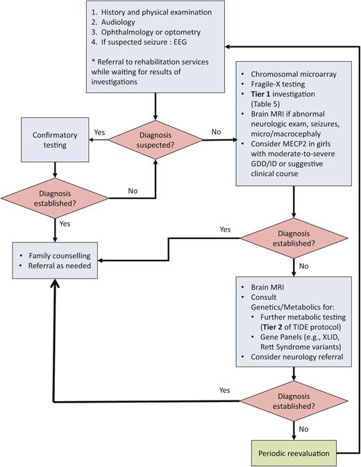 Algorithm for investigating global developmental delay or intellectual disability. Figure available in colour online. EEG Electroencephalogram; GDD Global developmental delay; ID Intellectual disability; MRI magnetic resonance imaging; XLID X-linked intellectual disability