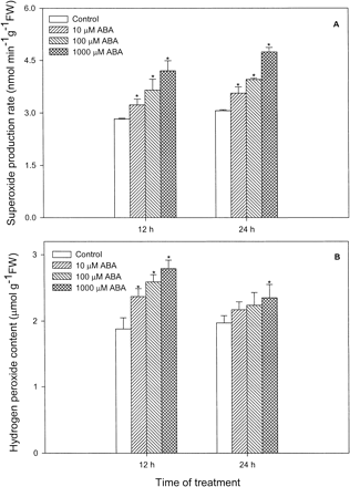 Fig. 1 Effects of ABA at different concentrations on levels of O2– (A) and H2O2 (B) in leaves of maize seedlings. Values are the means of three different experiments. Error bars represent SE with n = 6. Asterisks indicate the significance of difference at P<0.05 level by Student’s t-test when compared to control.
