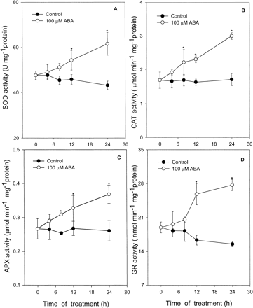 Fig. 5 Time course of ABA action on activities of SOD (A), CAT (B), APX (C) and GR (D) in leaves of maize seedlings. Values are the means of three different experiments. Error bars represent SE with n = 6. Asterisks indicate the significance of difference at P<0.05 level by Student’s t-test when compared to control.