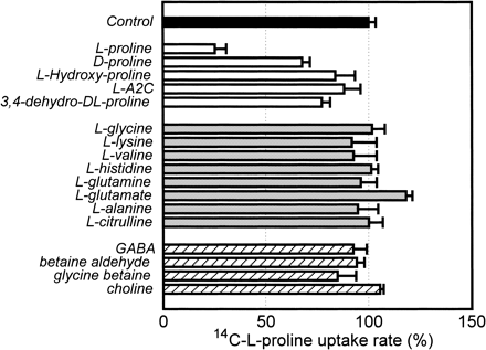 Fig. 7 Substrate specificity of HvProT using a yeast double mutant transformed with the HvProT. [14C]l-proline (5 µM) was used for the experiments. The uptake rate was determined in the presence of various competitors. Control (black bar), proline analogues (open bars), other amino acid species (grey bars), GABA and quaternary ammonium compounds (cross-hatched bars). Data shows the average of four replications ±SE. 100% proline uptake rate was 24.0±0.8 pmol min–1 (mg FW)–1.