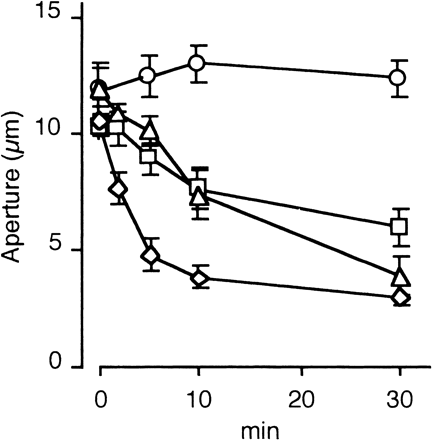Fig. 1 Salicylic acid-induced stomatal closure in epidermal peels of Vicia faba. Epidermal peels were treated by salicylic acid and stomatal apertures were measured at the indicated times. SA concentrations: 0 mM (open circle), 0.2 mM (open square), 0.5 mM (open triangle), 2.0 mM (open diamond). Error bars indicate standard errors (n = 40).
