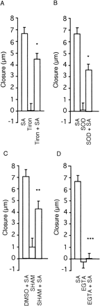 Fig. 3 Effect of Tiron, SOD, SHAM and EGTA on SA-induced stomatal closure in epidermal peels. Width of stomata was measured before and 30 min after application of SA and the difference of widths gives closure. Concentrations of SA, Tiron, EGTA, and SHAM, SOD and DMSO were 1, 5, 2 and 5 mM, 330 units ml–1 and 1%, respectively. SHAM was dissolved in DMSO. Student’s t-test reveals significant difference as indicated with *, ** and ***. P = 0.02 against SA, P = 0.039 against DMSO + SA and P <0.001 against SA. Error bars show standard errors (n = 25).