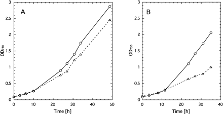 Fig. 3 Growth curves of wild type (circles) and psbX-disrupted mutant (triangles) as measured with OD730 at 70 µE m–2 s–1 at 50°C. Panel A: bubbled with 1% (v/v) CO2, B: 0.3% CO2.