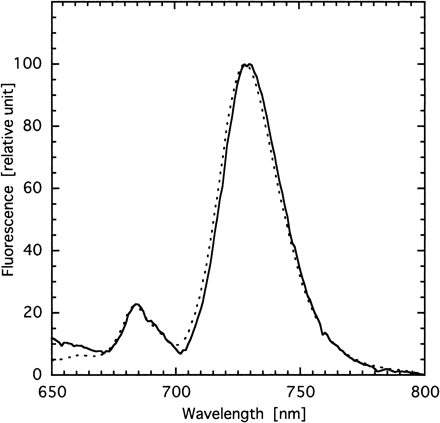 Fig. 4 Low-temperature (77 K) fluorescence emission spectra of thylakoid membranes from wild type (solid line) and psbX-disrupted mutant (dotted line). Chlorophyll was excited at 435 nm.