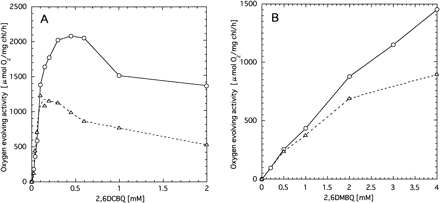 Fig. 7 Effects of 2,6DCBQ (panel A) and 2,6DMBQ (panel B) on the oxygen evolution activity of PSII particles isolated from wild type (circles) and psbX-disrupted mutant (triangles).
