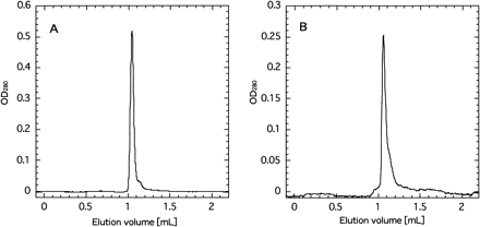 Fig. 10 Elution profile of PSII core complex from wild type (panel A) and psbX-disrupted mutant (panel B) in Superdex 200 gel filtration chromatography.