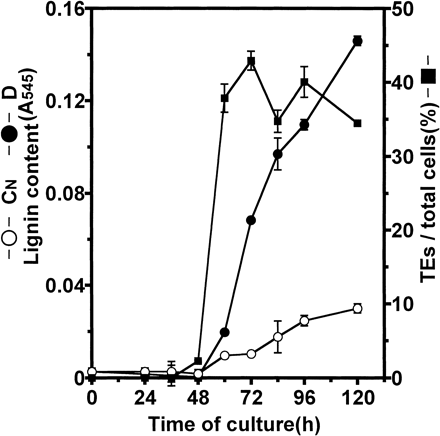 Fig. 1 Time course of TE formation and lignification during culture of isolated mesophyll cells of Zinnia. TEs were detected by observation of sculptured secondary wall thickenings under a light microscope in D culture (closed square). Lignin contents in D culture (closed circle) and CN culture (open circle) were determined as described in Materials and Methods. Vertical bars represent SD values for three replicates.