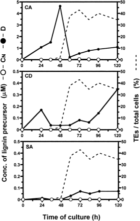 Fig. 8 Changes in the concentration of each lignin precursor in medium during culture of isolated Zinnia mesophyll cells. Differentiation inductive (closed circle) and CN (open circle) media were separated by reversed-phase HPLC with monitoring at 270 nm and 340 nm.