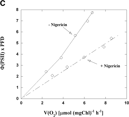 Fig. 2 Dependence of both Φ(PSII) and V(O2) on light intensity in the presence or absence of nigericin. (A) The reaction mixture was the same as that described in the legend to Fig. 1. Φ(PSII) was determined under several light intensities in the presence (diamonds) and absence (circles) of nigericin, and plotted against light intensity. (B) V(O2) in intact chloroplasts was determined, as described in Fig. 1, in the presence (diamonds) and absence (circles) of nigericin under several light intensities, and plotted against light intensity. (C) Φ(PSII) × PFD and V(O2) were determined from the data in (A) and (B), and Φ(PSII) × PFD was plotted against V(O2). Diamonds, in the presence of nigericin; circles, in its absence.