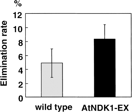 Fig. 5 Elimination of exogenous H2O2 by wild-type and AtNDK1-EX plants. Decreased H2O2 concentrations after 9 h incubation of wild-type and AtNDK1-EX plants in 7 mM H2O2 under continuous light (80 µmol m–2 s–1) at 21°C are shown. Values present the averages of the decreased rate of fifteen independent plants with standard errors.