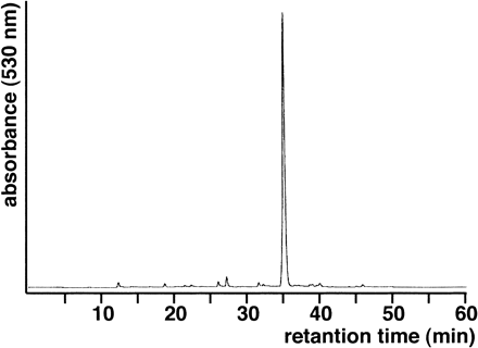 Fig. 3 HPLC analysis of the flower pigments in Wedding Bells. The major peak contains pelargonidin 3-O-(2-O-(6-O-(3-O-glucosyl-caffeoyl)-glucosyl)-6-O-(4-O-(6-O-(3-O-glucosyl-caffeoyl)-glucosyl)-caffeoyl)-glucoside)-5-O-(glucoside). The identification of the pigments was performed as described previously (Lu et al. 1992a, Toki et al. 2001a).