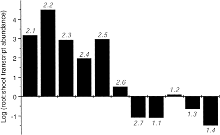 Fig. 2 Estimation of relative expression levels of AtNRT genes in shoots and roots. Ratios of transcript abundances were calculated by the amount of RNA and the numbers of PCR cycles required for RT-PCR (Table 2). Ratio (Root/Shoot) = (Aroot × 2Nroot)–1 / (Ashoot × 2Nroot)–1, where A is amount of RNA and N is the number of PCR cycles. Y-axis is expressed on a logarithmic scale.