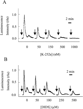 Fig. 4 The [Ca2+]cyt transients may be regulated by protein phosphorylation and Cl– efflux. Effects of the protein kinase inhibitor, K-252a (A), and the Cl– channel blocker, DIDS (B) on cryptogein-induced [Ca2+]cyt responses (relative luminescence). Each inhibitor was applied 15 min before the application of cryptogein (arrows). The maximum luminescence value of the control cells was expressed as 1.0. Data are from one representative experiment of five.