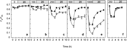 Fig. 2 Light-induced photoinhibition of PSII at 28°C (closed circle) and 32°C (open circle) in Acropora digitifera (a–e) and Pavona decussata (f). Corals were incubated in the dark (a) or under light at 100 (b), 250 (c, f), 500 (d) or 1,000 (e) µmol photons m–2 s–1 for 3 h and then incubated in a weak light (20 µmol photons m–2 s–1). Values are means ± SE (n = 12).