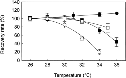 Fig. 4 Temperature effects on the recovery of damaged PSII in coral species. Open circle, Acropora digitifera; closed circle, Pavona decussata; closed square, Stylophora pistillata; open square, Pocillopora damicornis. Recovery rates were measured under illumination at 20 µmol photons m–2 s–1 after the exposure to strong light (1,000 µmol photons m–2 s–1) at 28°C for 2 h (in A. digitifera and P. decussata) or for 1 h (in S. pistillata and P. damicornis). The rates of recovery (Fv/Fm h–1) at 26°C, as 100% of controls, were 0.24±0.014 in A. digitifera, 0.25±0.013 in P. decussata, 0.21±0.029 in S. pistillata and 0.26±0.034 in P. damicornis. Values are means ± SE (n = 6).