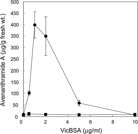 Fig. 5 VicBSA elicits the production of avenanthramide (A) Peeled leaf segments of victorin-sensitive (circle) and insensitive cultivars (square) were treated with VicBSA at the indicated concentrations. Avenanthramide A in test solutions was estimated 24 h after treatment by HPLC. Data represent the mean ± SD from three experiments.