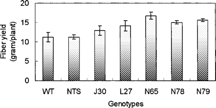Fig. 5 Fiber yields (with seeds) of wild-type and AtNHX1-expressing cotton plants after treatment with 200 mM NaCl in the greenhouse. WT, wild type; NTS, a segregated non-transgenic line; J30, L27, N65, N78 and N79, five independent AtNHX1-expressing cotton plants. Values are the mean ± SD (n = 8).