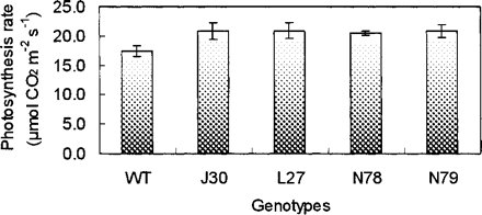 Fig. 6 Photosynthetic performance of wild-type and AtNHX1-expressing transgenic plants after treatment with 200 mM NaCl for 4 weeks. WT, wild type; J30, L27, N78 and N79, four independent AtNHX1-expressing cotton plants. Values are the mean ± SD (n = 4).