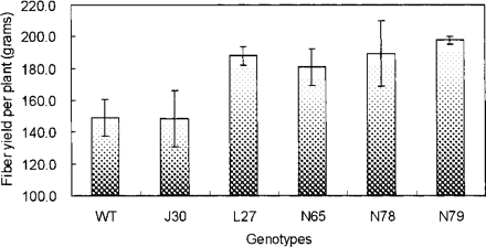 Fig. 8 Fiber yields (with seeds) of wild-type and AtNHX1-expressing cotton plants in the field. WT, wild type; J30, L27, N65, N78 and N79, five independent AtNHX1-expressing cotton plants. Values are the mean ± SD (n = 75).