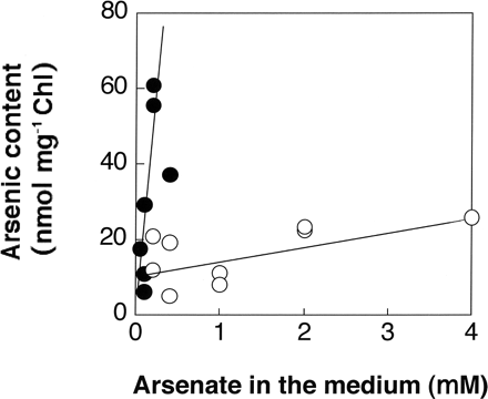 Fig. 2 Arsenic incorporated into wild-type (filled circles) and AR3 (open circles) cells. Cells were grown to the logarithmic phase for several days in TAP medium containing 1 mM Pi and various concentrations of arsenate (0.05, 0.1, 0.2 and 0.4 mM for the wild type; 0.2, 0.4, 1, 2 and 4 mM for AR3). The data obtained by two independent experiments are plotted.