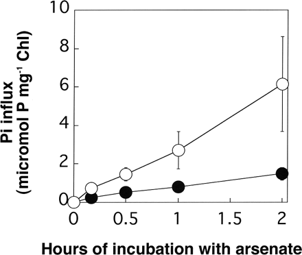 Fig. 3 Time courses of Pi incorporation into the wild type (filled circles) and AR3 (open circles) during incubation in arsenate-containing TAP medium. Log phase cells grown in TAP medium were harvested by centrifugation, and then washed and suspended with the Pi-free TAP medium. After the incubation for 20 min, arsenate (1 mM) and Pi (1 mM) were added to the cell suspension. Cells were harvested at appropriate intervals and Pi incorporated into the cells was determined by quantification of radioactivity from tracer amounts of 32Pi. The data are the means ± SE for three independent experiments.